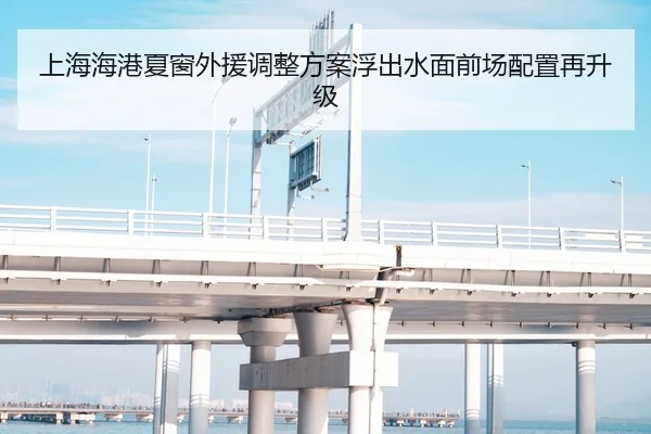 上海海港夏窗外援调整方案浮出水面前场配置再升级