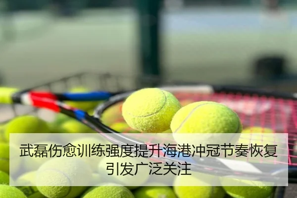 武磊伤愈训练强度提升海港冲冠节奏恢复引发广泛关注