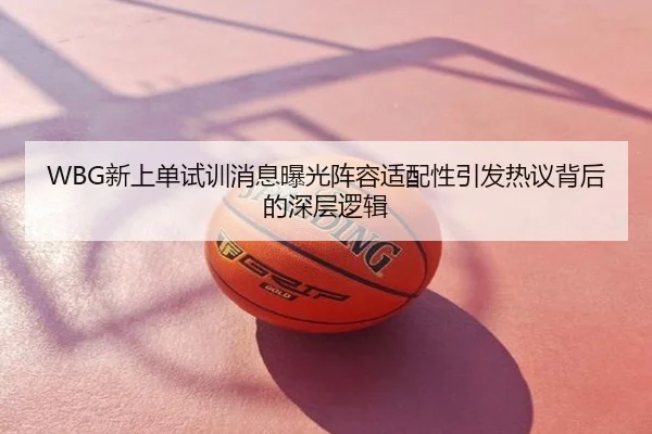 WBG新上单试训消息曝光阵容适配性引发热议背后的深层逻辑