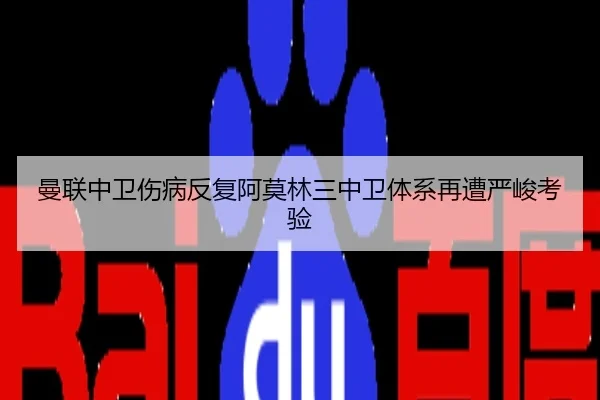 曼联中卫伤病反复阿莫林三中卫体系再遭严峻考验
